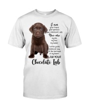 Your Friend CHOCOLATE lab Classic T-Shirt front