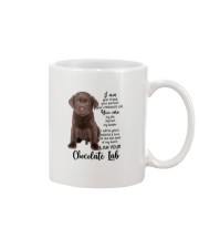 Your Friend CHOCOLATE lab Mug tile