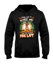 Crazy Lady - Silky Terrier Hooded Sweatshirt tile