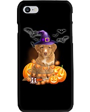 Lights - Nova Scotia Duck Tolling Retriever Phone Case tile
