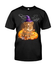 Lights - Nova Scotia Duck Tolling Retriever Premium Fit Mens Tee tile