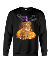 Lights - Nova Scotia Duck Tolling Retriever Crewneck Sweatshirt tile