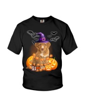 Lights - Nova Scotia Duck Tolling Retriever Youth T-Shirt tile