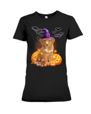 Lights - Nova Scotia Duck Tolling Retriever Premium Fit Ladies Tee tile
