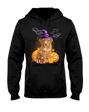 Lights - Nova Scotia Duck Tolling Retriever Hooded Sweatshirt tile