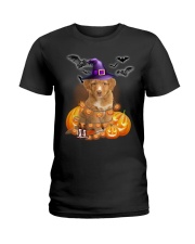 Lights - Nova Scotia Duck Tolling Retriever Ladies T-Shirt tile