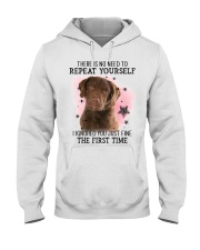 First Time - Chesapeake Bay Retriever Hooded Sweatshirt tile