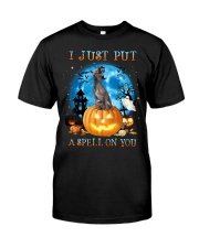 Spell - American Hairless Terrier Classic T-Shirt front