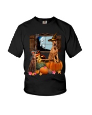 Pumpkin Dogs - Irish Terrier Youth T-Shirt tile