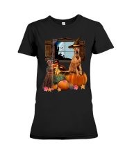 Pumpkin Dogs - Irish Terrier Premium Fit Ladies Tee tile
