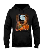 Pumpkin Dogs - Irish Terrier Hooded Sweatshirt front