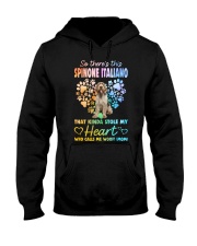 Kinda Stole - Spinone Italiano Hooded Sweatshirt tile