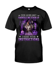 Instructions - SILVER Labrador Premium Fit Mens Tee tile