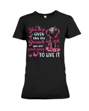 This Life - SILVER Labrador Premium Fit Ladies Tee tile