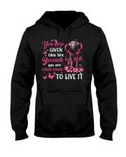 This Life - SILVER Labrador Hooded Sweatshirt tile