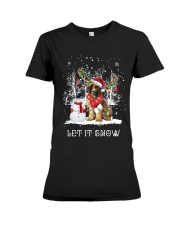 Xmas Reindeer - Briard Dog Premium Fit Ladies Tee tile