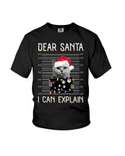Dear Santa Cat 2 Youth T-Shirt tile