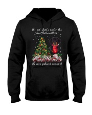 Matters - BLACK Dachshund 1 Hooded Sweatshirt front