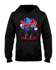4th July American Balloons - Labrador Black Hooded Sweatshirt tile