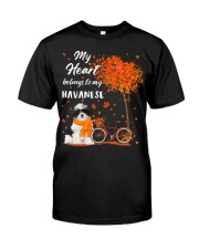 Belonging - Havanese 1 Premium Fit Mens Tee tile