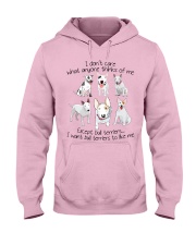 I like Bull Terrier Hooded Sweatshirt front