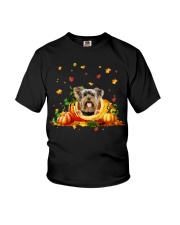 Pumpkin Cave - Yorkshire 1 Youth T-Shirt tile