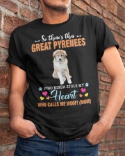 Kinda Stole - Great Pyrenees 1 Classic T-Shirt apparel-classic-tshirt-lifestyle-26