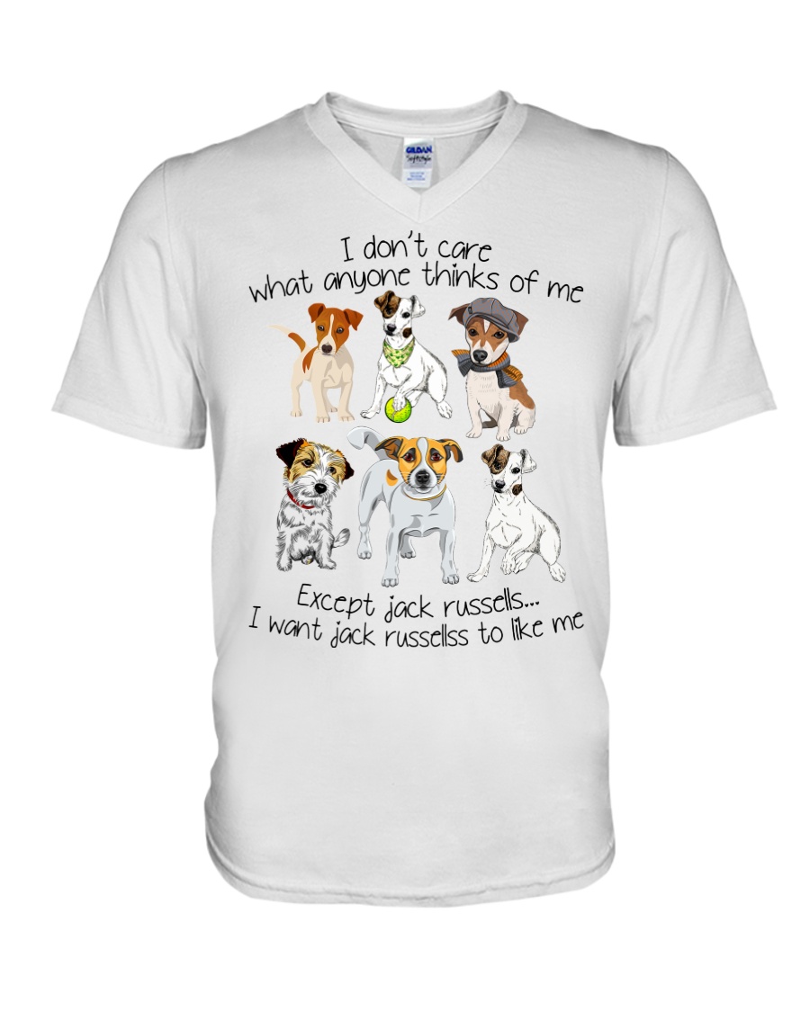 1 DAY LEFT - GET YOURS NOW V-Neck T-Shirt