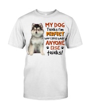 Perfect - Pomsky Premium Fit Mens Tee tile