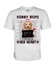 Stole - Havanese 3 V-Neck T-Shirt tile
