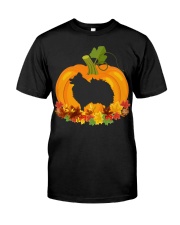 Pumpkin Shape - Pomeranian Classic T-Shirt front
