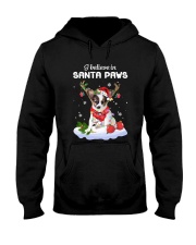 Santa Reindeer - Papillon 1 Hooded Sweatshirt front