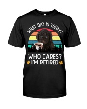 Retired - Barbet Premium Fit Mens Tee tile
