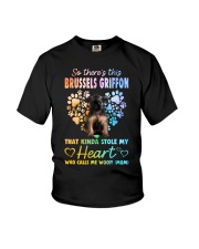Kinda Stole - Brussels Griffon 1 Youth T-Shirt tile