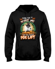 Crazy Lady - Toy Fox Terrier Hooded Sweatshirt tile