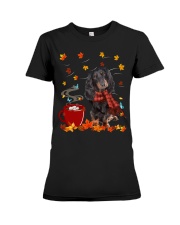 Hot Chocolate - Black Long-haired Dachshund Premium Fit Ladies Tee tile