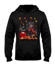 Hot Chocolate - Black Long-haired Dachshund Hooded Sweatshirt tile