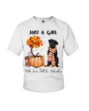 Fall And - labrador 5 Youth T-Shirt tile
