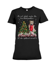 Matters - Pitbull 1 Premium Fit Ladies Tee tile