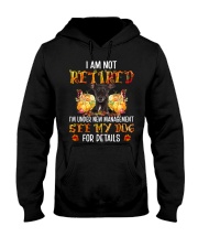 Retired - Italian Greyhound 1 Hooded Sweatshirt tile