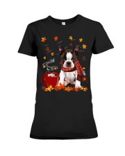 Hot Chocolate - BRINDLE Boston Terrier Premium Fit Ladies Tee tile