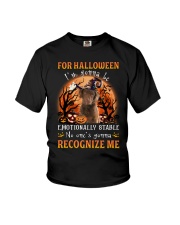 Recognize - Chesapeake Bay Retriever Youth T-Shirt tile