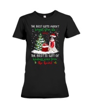 Kindness - Papillon 3 Premium Fit Ladies Tee tile