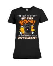 Annoying - Cairn Terrier 2 Premium Fit Ladies Tee tile