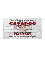 Dog Baby - Cavapoo 1 Mask tile