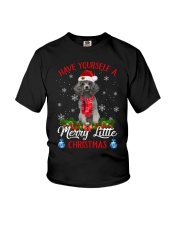 Little Christmas - SILVER Miniature Poodle Youth T-Shirt tile