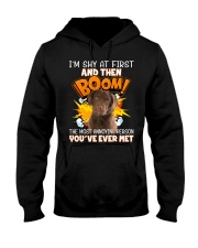 Annoying - Chesapeake Bay Retriever Hooded Sweatshirt tile