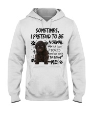 Sometimes - Barbet Hooded Sweatshirt tile