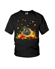 Pumpkin Cave - SILVER Miniature Poodle Youth T-Shirt tile