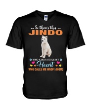 Kinda Stole - Jindo V-Neck T-Shirt tile